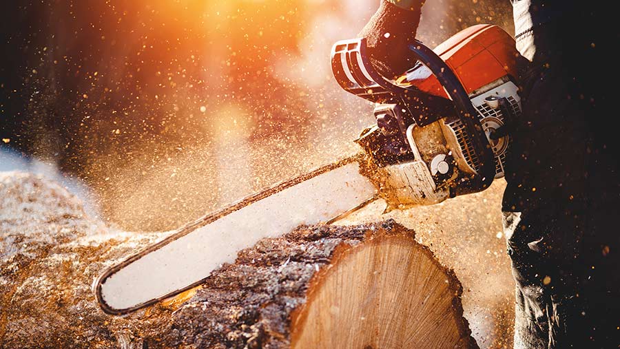 Chainsaw Action