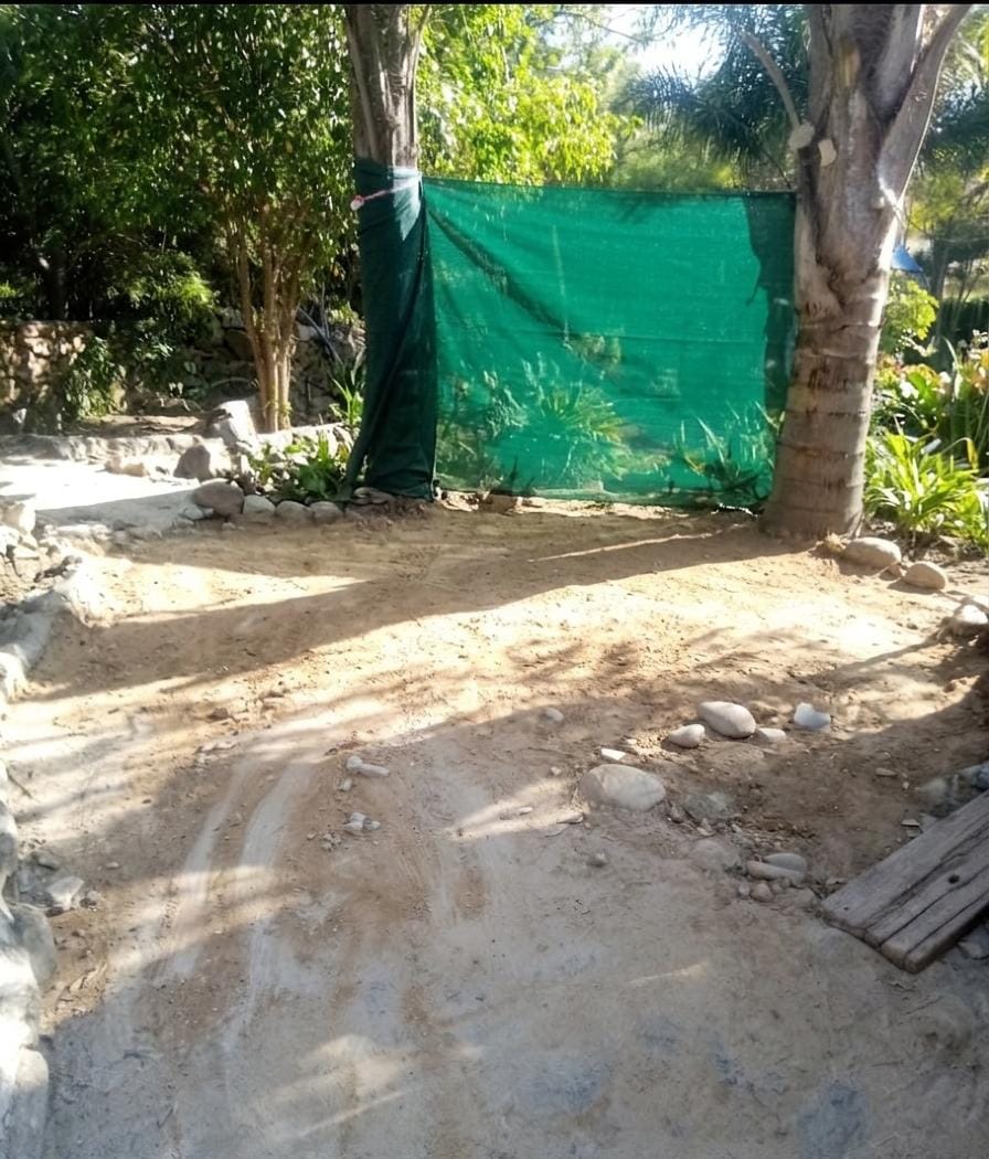 Dirt Pathways